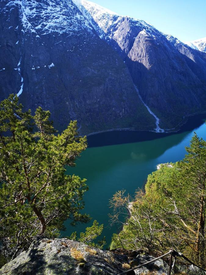Eidfjord Hotel Экстерьер фото